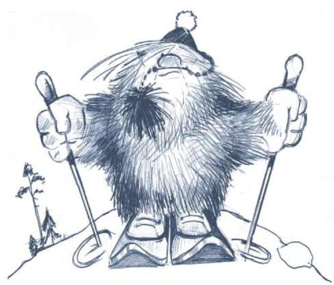 yeti-14-4